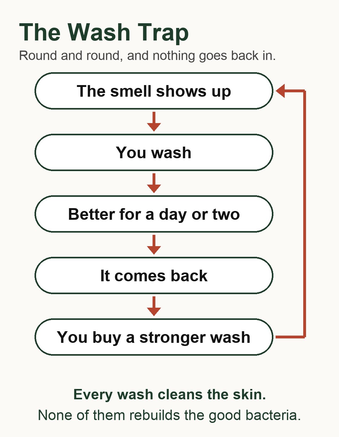 Diagram of the Wash Trap: the smell shows up, you wash, better for a day or two, it comes back, you buy a stronger wash